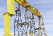 巴西600吨龙门吊项目